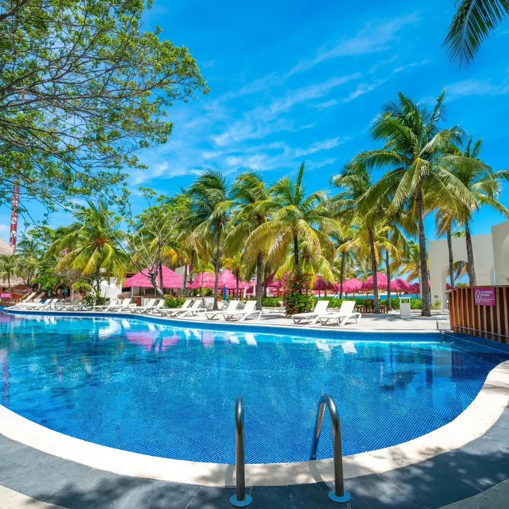 Grand Oasis Palm