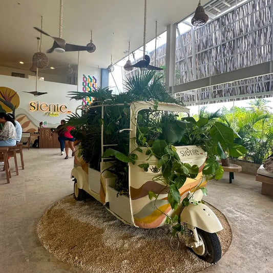 Siente Tulum