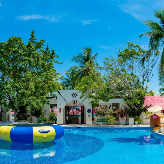 Oasis Palm