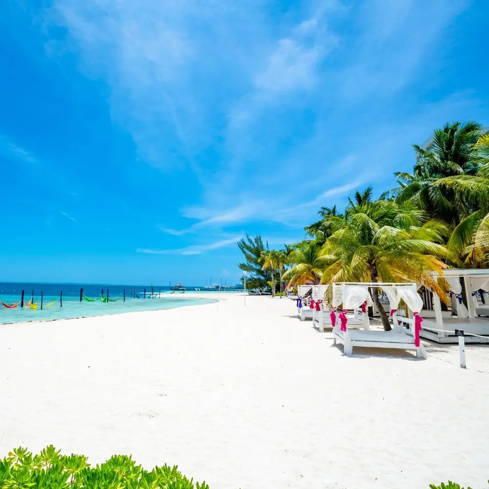 The Sens Cancún